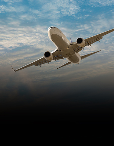 Airplane in flight